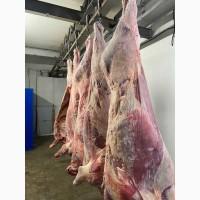 Продам говядину 1 категории глубокой заморозки