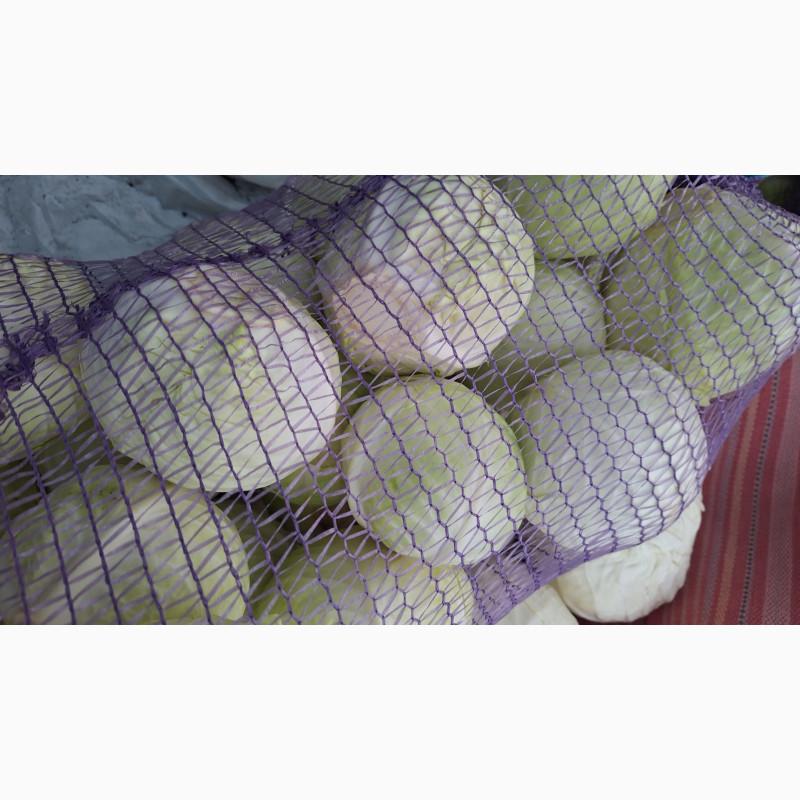 Продам Капусту Центуріон