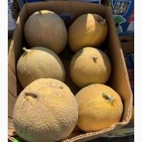 Продам диню
