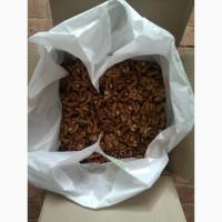 Ядро грецького волоського горіха