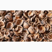 Куплю шкаралупу волоського горіха