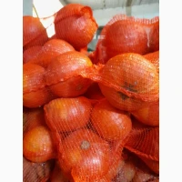 Продам гарбуз Хоккайдо