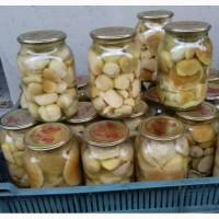 Продам мариновані білі гриби