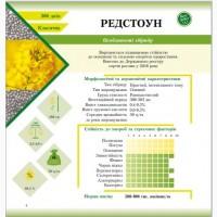 Семена озимого рапса Редстоун ГМО