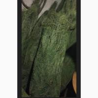 Продам сосну класса «ЛЮКС»