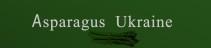 Asparagus Ukraine