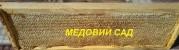 Пасіка МЕДОВИЙ САД